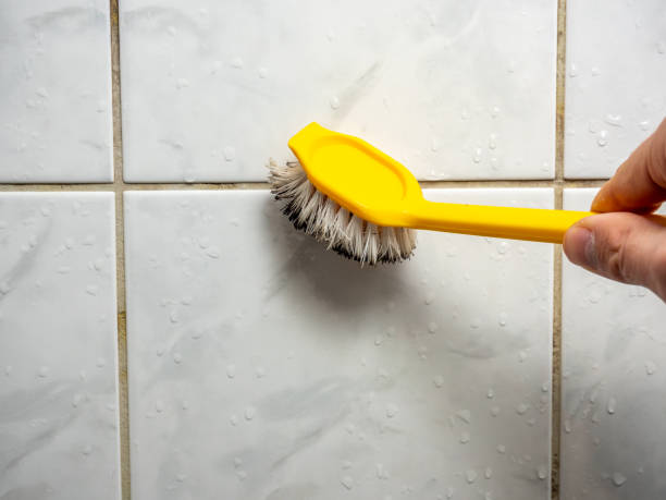 Best Water Damage Restoration  in Anderson Creek, NC